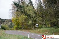 _2017-10-29 Sturmschaden diverse__13